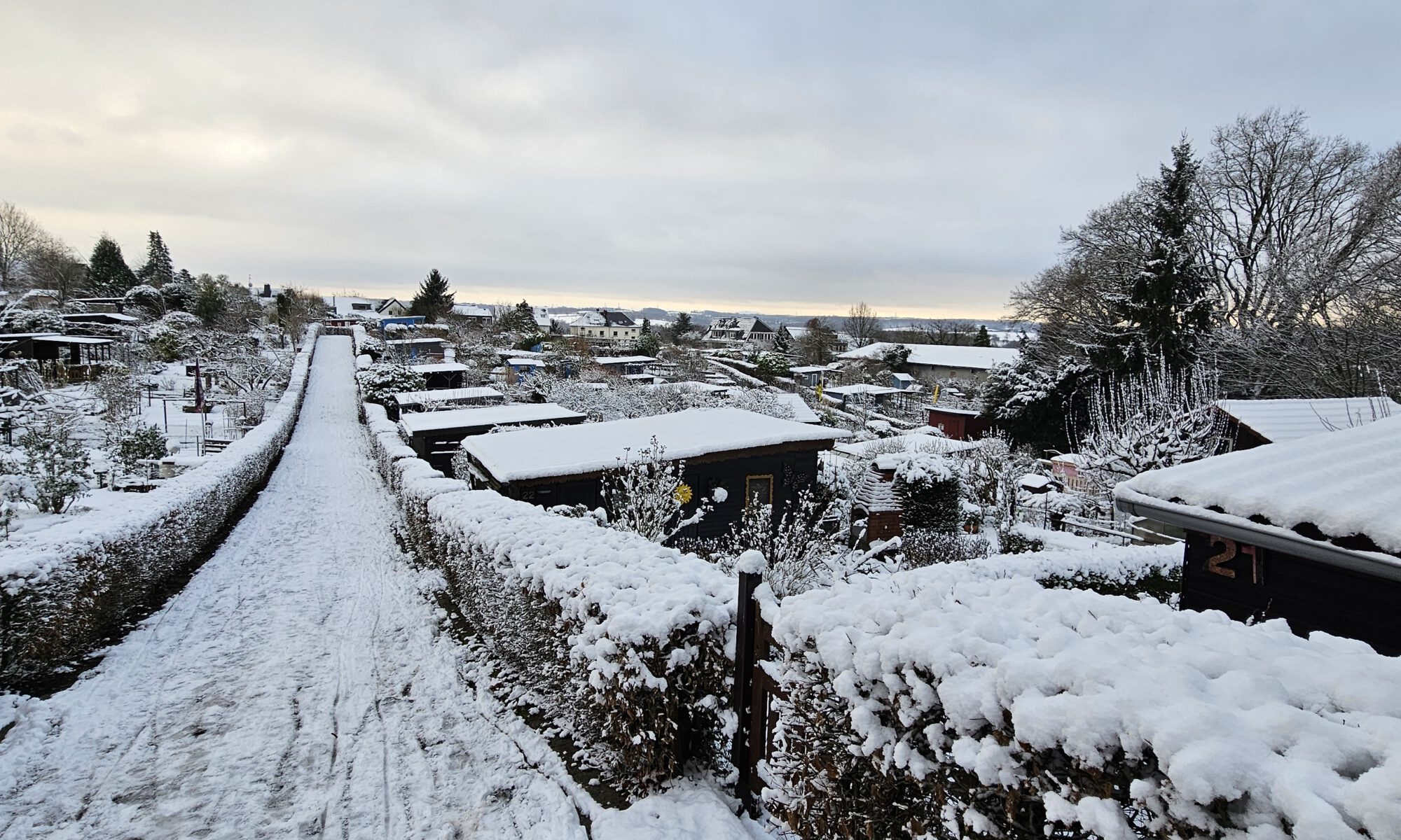 Gartenanlage im Schnee
